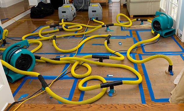 Professional Sewage Cleanup technician working in Eastham, MA